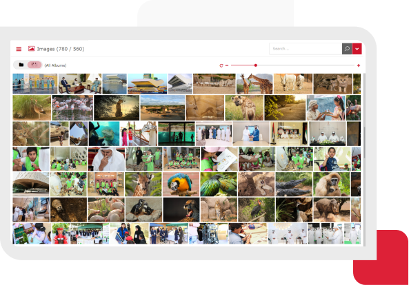 Media center’s built-in bulk upload tool that allows photographers and other users to upload thousands of images at once