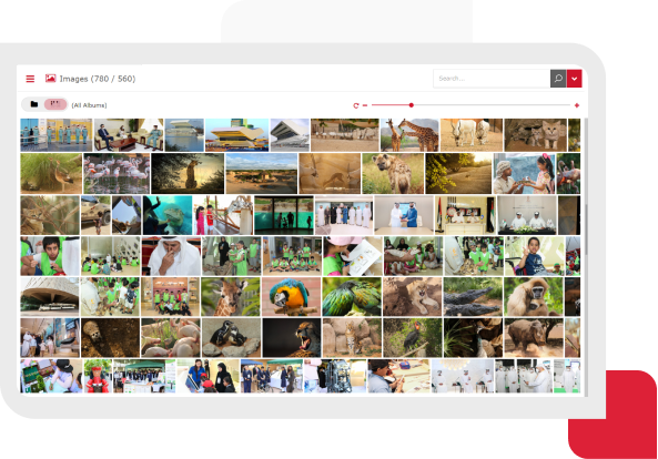 Bulk Upload Tool Media center’s built-in bulk upload tool that allows photographers and other users to upload thousands of images at once